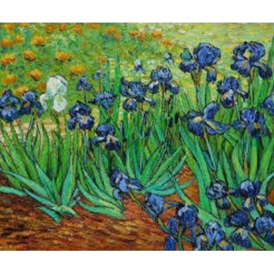 Mini casse-tête Van Gogh