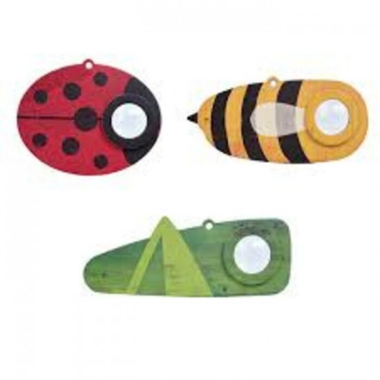 Oeil d'insecte