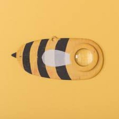 Oeil d'insecte