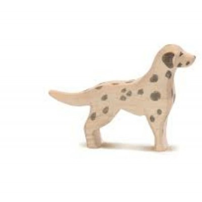 Chien dalmatien - Ostheimer 
