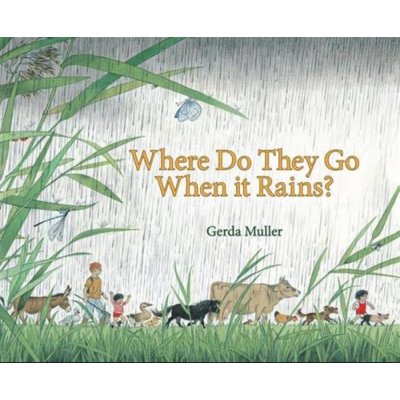 Where do They Go When It Rains?