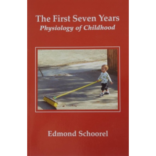First Seven Years (The)