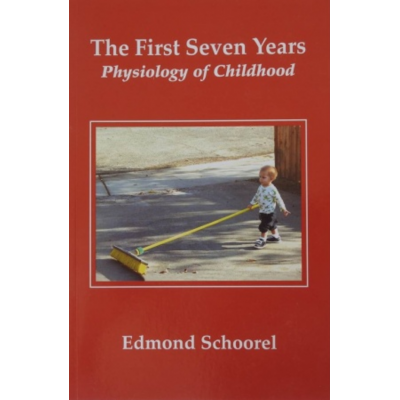 First Seven Years (The)