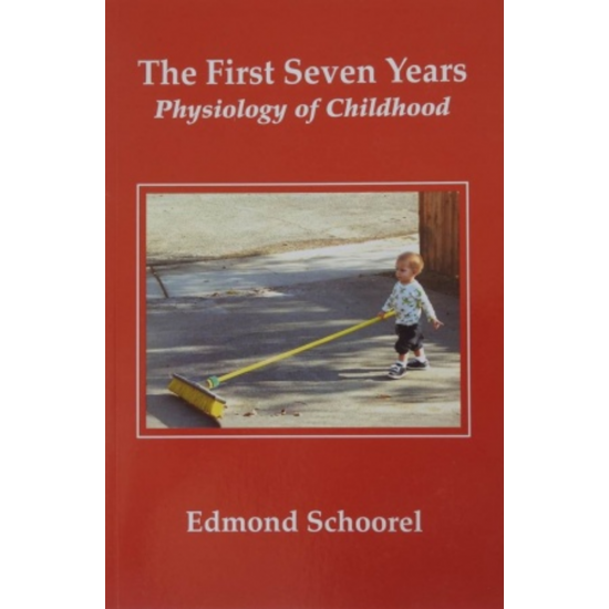 First Seven Years (The)
