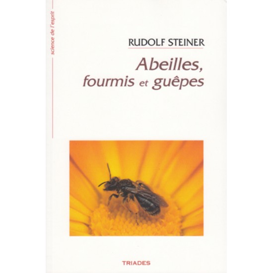 Abeilles, fourmis et guêpes