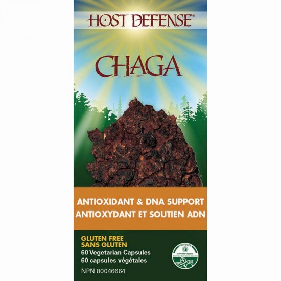 Chaga 