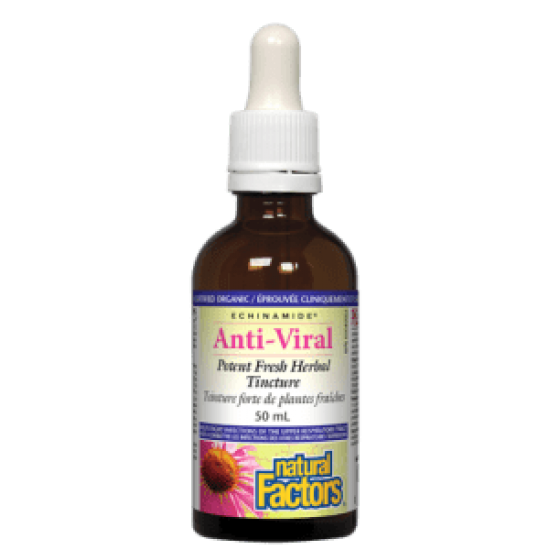 Natural Factors Echinamide Anti-viral 50 ml