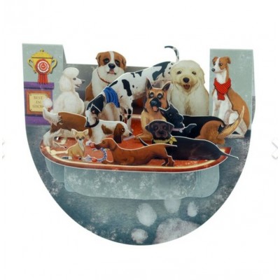 Chiens Pnr070