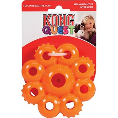 Kong Quest Starpod 