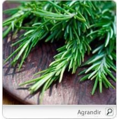 Romarin bio (feuilles)