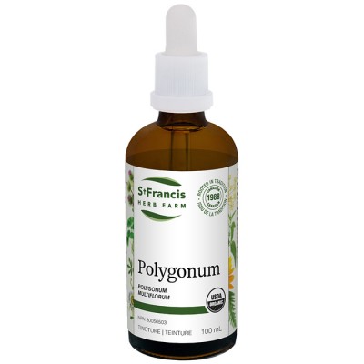 Teinture Polygonum