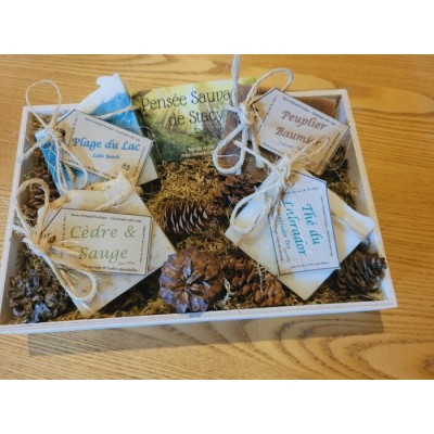 Coffret Découvert: La calendule