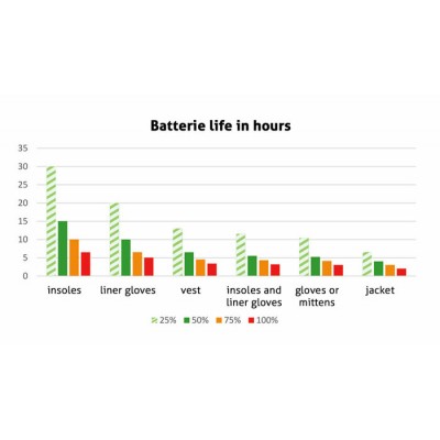 Kit batterie lithium avec contrôleur et chargeur