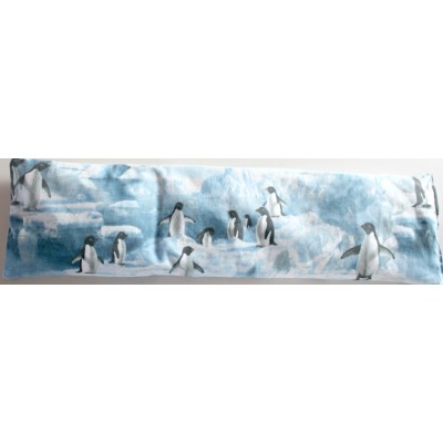 Les Pingouins sur la banquise