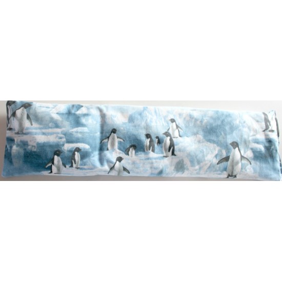 Les Pingouins sur la banquise