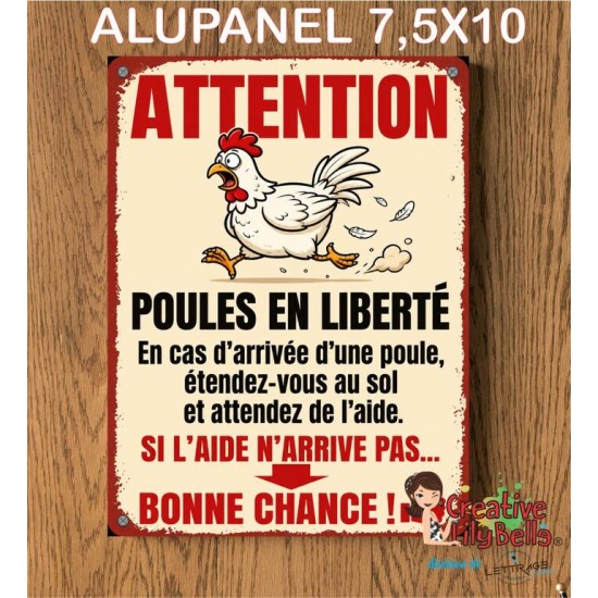 Poules en liberté #alu-06 