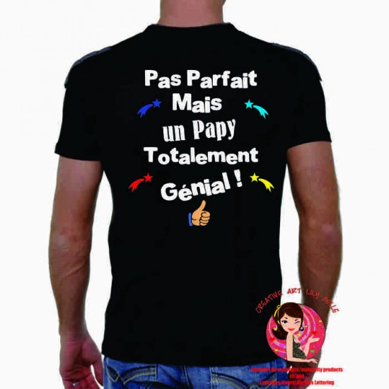 T-SHIRT PAPY OU AUTRES GÉNIAL 4072