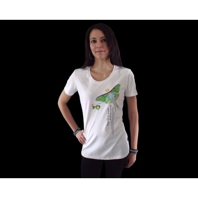 T-shirt femme - Collection papillon