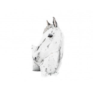 Oeuvre originale Shaman (Equus caballus) Horse