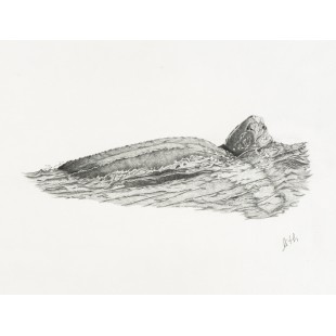Oeuvre originale Tortue luth océan (Dermochelys...