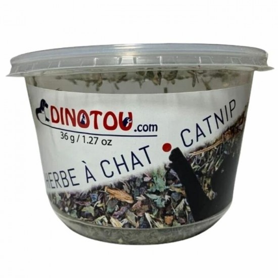Herbe à chat séchée - contenant 1,27 oz / 36 g
