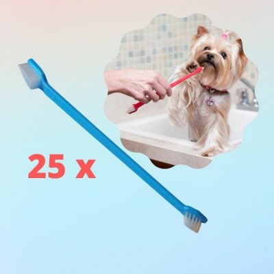 25 Brosses à dents 