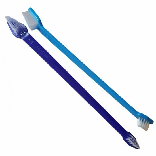 50 Brosses à dents 
