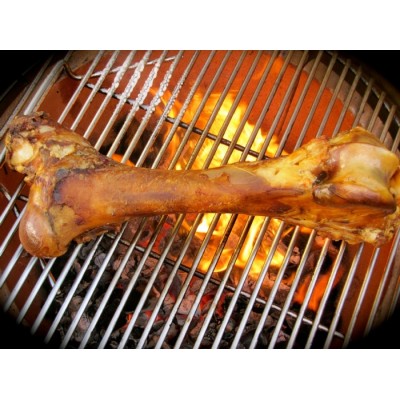 Os de fémur de boeuf géant