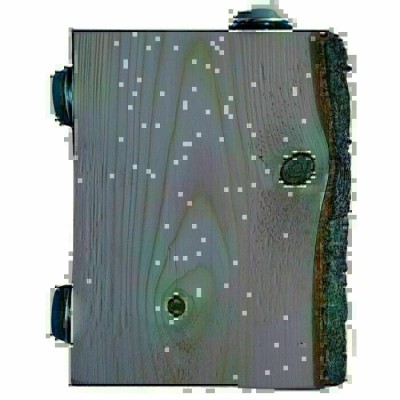 Planche de + ou - 7" en bois pour rongeurs