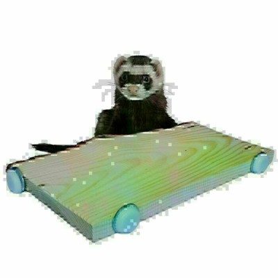 Planche de + ou - 12" en bois pour rongeurs