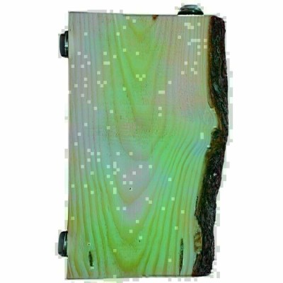 Planche de + ou - 12" en bois pour rongeurs