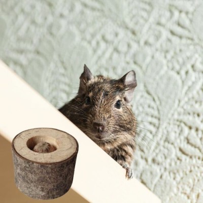 Rondelle de pommier à rongeur avec noisette