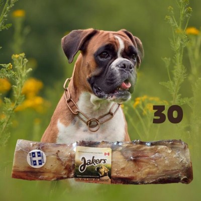 Os de côte de boeuf - 10" à 12" - boîte de 30