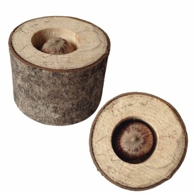 Rondelle de pommier à rongeur avec noisette x12