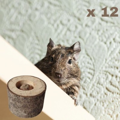 Rondelle de pommier à rongeur avec noisette x12