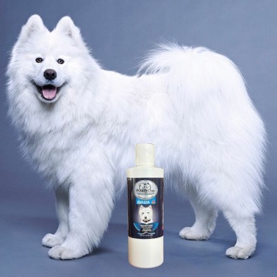 Shampooing Bleu avec fragrance melon d’eau pour chien - 240 ml - Kuddly Doo