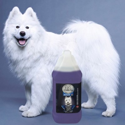 Shampooing Bleu avec fragrance melon d’eau pour chien - 4 L - Kuddly Doo