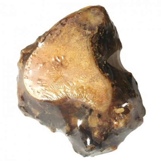 Os de couronne de boeuf - Forme irrégulière