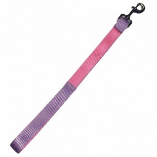 Laisse double épaisseur 2 couleurs - 1'' X 18'' -...