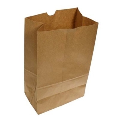Sacs bruns épicerie DD50 / 500 sacs
