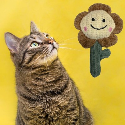 Jouet pour chat "Tournesol" avec herbe à chat - 16 cm