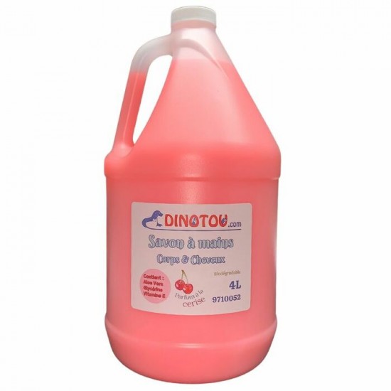 Savon à mains, corps et cheveux antibactérien,...