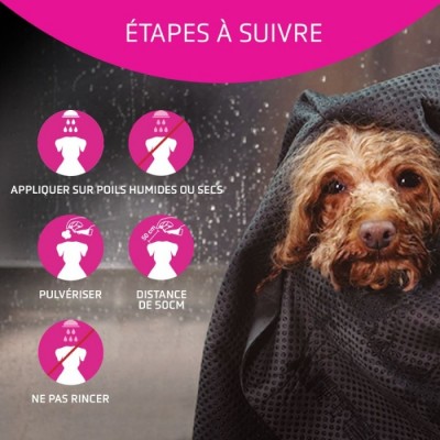 Artero Flash - Après shampooing et rehausseur de brillance - 300 ml