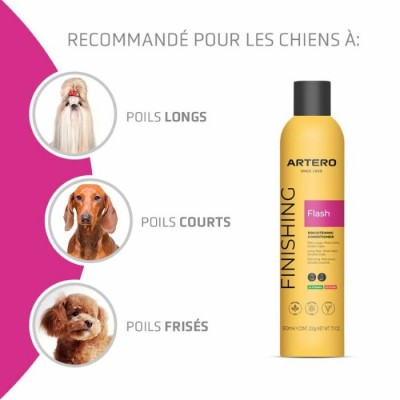 Artero Flash - Après shampooing et rehausseur de brillance - 300 ml