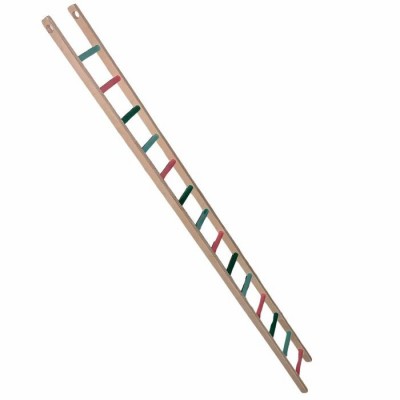 Échelle en bois pour oiseaux - 42