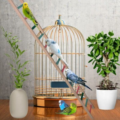 Échelle en bois pour oiseaux - 42"