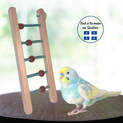 Échelle interactive en bois pour oiseaux - 12"