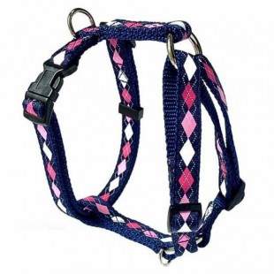 Harnais ajustable - 5/8'' pour chien à motifs -...