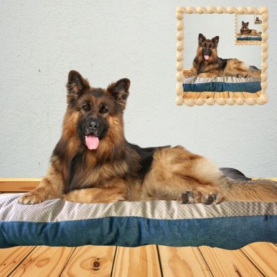 Lit rectangulaire pour chiens - 91,5 cm x 63,5 cm x 11 cm