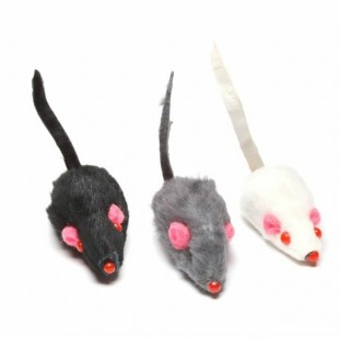 Souris grise ou blanche